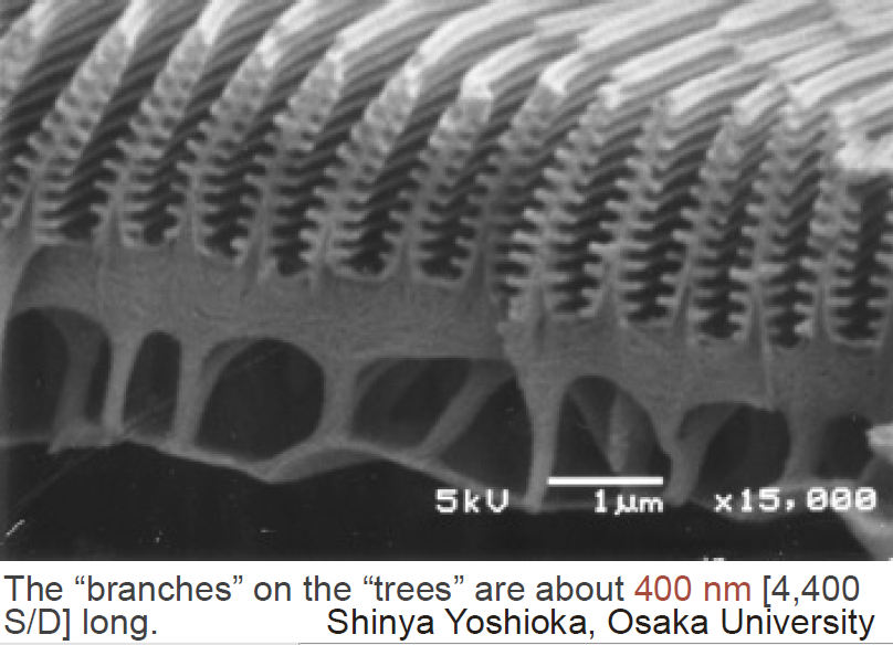image-20220411223604569